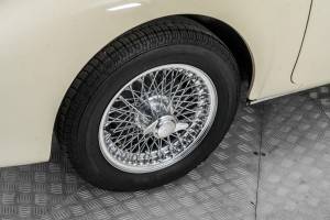 Image 30/50 of MG MGA 1500 (1958)