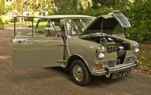 Image 17/50 de Riley Elf Mark I (1963)