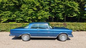 Image 5/17 de Mercedes-Benz 280 SE 3,5 (1971)