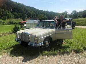 Image 1/52 of Mercedes-Benz 250 SE (1966)