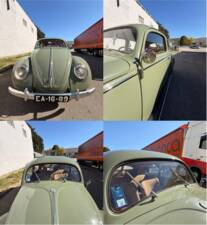 Image 46/49 of Volkswagen Beetle 1100 Standard (Brezel) (1950)