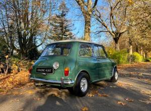 Immagine 8/48 di Austin Mini Cooper S 1275 (1964)