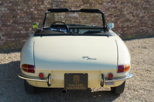 Bild 34/50 von Alfa Romeo 1600 Spider Duetto (1967)