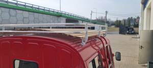 Afbeelding 18/55 van Mercedes-Benz L 319 D (1967)