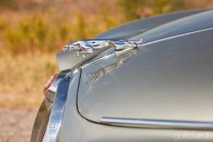 Immagine 13/50 di Jaguar S-Type 3.8 (1966)