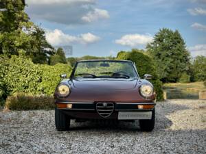 Image 15/100 of Alfa Romeo 2000 Spider Veloce (1980)