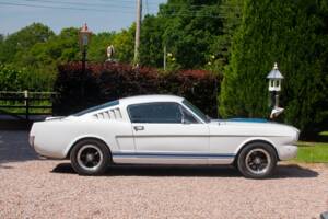 Bild 17/50 von Ford Shelby GT 350 (1965)