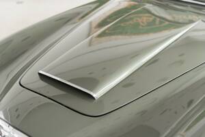 Image 19/38 of Lancia Aurelia B24 Convertible (1957)