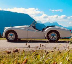 Image 1/32 of Triumph TR 2 (1955)