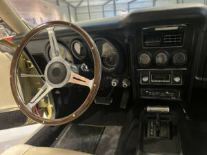 Bild 30/40 von Ford Mustang Mach 1 (1973)