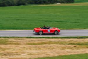 Imagen 12/45 de Alfa Romeo Giulietta Spider Veloce (1960)