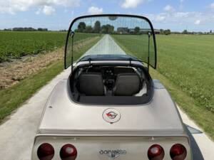 Afbeelding 34/50 van Chevrolet Corvette Collector Edition (1982)