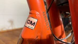 Image 15/17 of DKW Accu Bike E1 (1972)