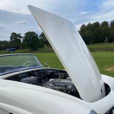 Image 20/23 de Mercedes-Benz 190 SL (1961)