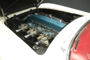 Image 11/50 of Chevrolet Corvette (1954)