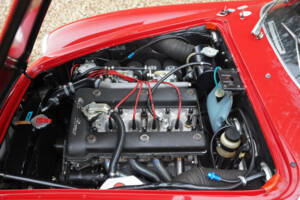 Bild 4/50 von Alfa Romeo Giulietta SZ (1961)