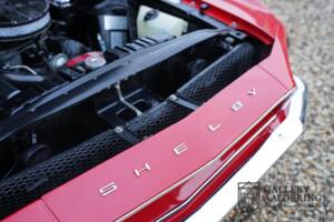 Bild 49/50 von Ford Shelby GT 350 (1968)