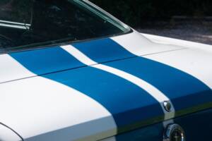 Image 17/54 of Ford Shelby GT 350 (1965)