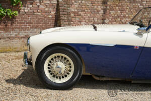 Bild 48/50 von Austin-Healey 100&#x2F;4 (BN1) (1954)