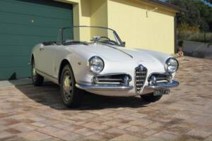 Bild 1/30 von Alfa Romeo Giulietta Spider (1961)