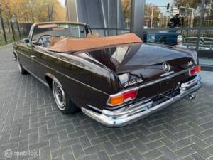 Image 8/14 of Mercedes-Benz 280 SE 3,5 (1970)