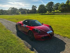 Bild 3/47 von Alfa Romeo 4C Spider (2015)