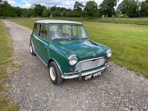 Afbeelding 1/41 van Morris Mini Cooper 998 (1964)