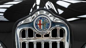 Bild 14/15 von Alfa Romeo Giulia 1600 Spider (1963)