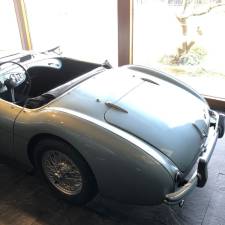 Bild 17/49 von Austin-Healey 100&#x2F;4 (BN1) (1954)