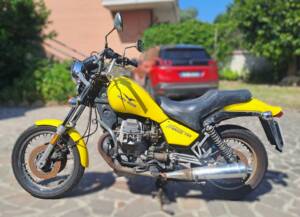 Bild 6/31 von Moto Guzzi Nevada 750 (1997)