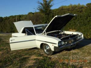 Image 35/47 of Buick Skylark Coupe (1964)