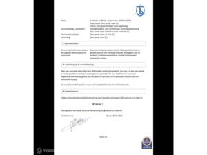 Imagen 46/50 de Mercedes-Benz 200 D (1982)