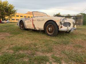 Bild 15/22 von Austin-Healey 3000 Mk II (BN7) (1960)