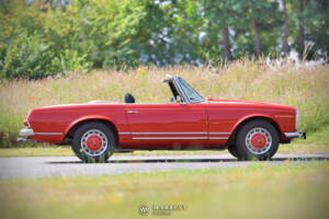 Image 5/70 of Mercedes-Benz 280 SL (1969)