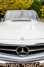 Image 7/50 of Mercedes-Benz 280 SL (1968)