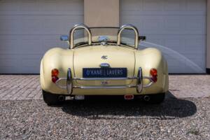 Bild 6/51 von AC Cobra 289 (1999)