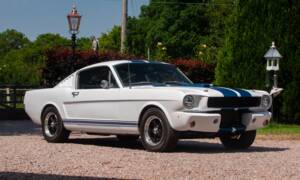 Image 1/50 of Ford Shelby GT 350 (1965)