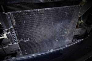 Immagine 86/100 di Dodge Ram SRT 10 (2006)