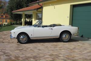 Bild 5/30 von Alfa Romeo Giulietta Spider (1961)