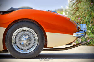 Bild 25/40 von Austin-Healey 3000 Mk I (BN7) (1959)