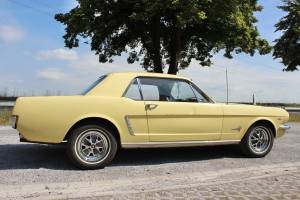 Image 9/20 of Ford Mustang 260 (1964)