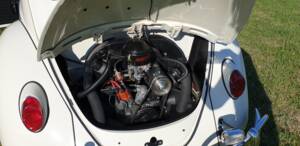 Image 9/10 of Volkswagen Beetle 1300 (1967)