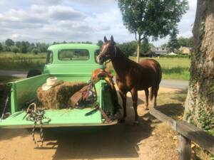 Image 3/22 de Chevrolet 3100 ½-ton (1954)
