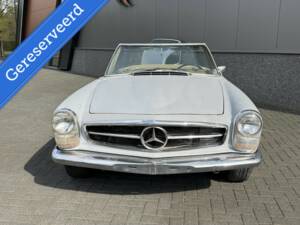 Bild 1/50 von Mercedes-Benz 250 SL (1967)