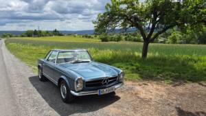 Bild 8/16 von Mercedes-Benz 280 SL (1970)