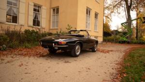 Image 43/51 of Alfa Romeo 1600 Spider Duetto (1966)