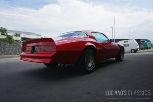 Bild 8/64 von Pontiac Firebird TransAm (1976)