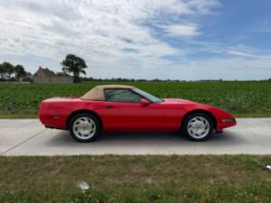 Imagen 9/43 de Chevrolet Corvette Convertible (1995)