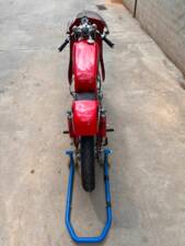 Immagine 5/5 di Ducati Mototrans DUMMY (1968)