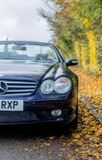 Bild 25/50 von Mercedes-Benz SL 55 AMG (2004)